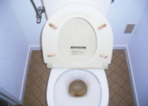 office_toilet_img01[1]